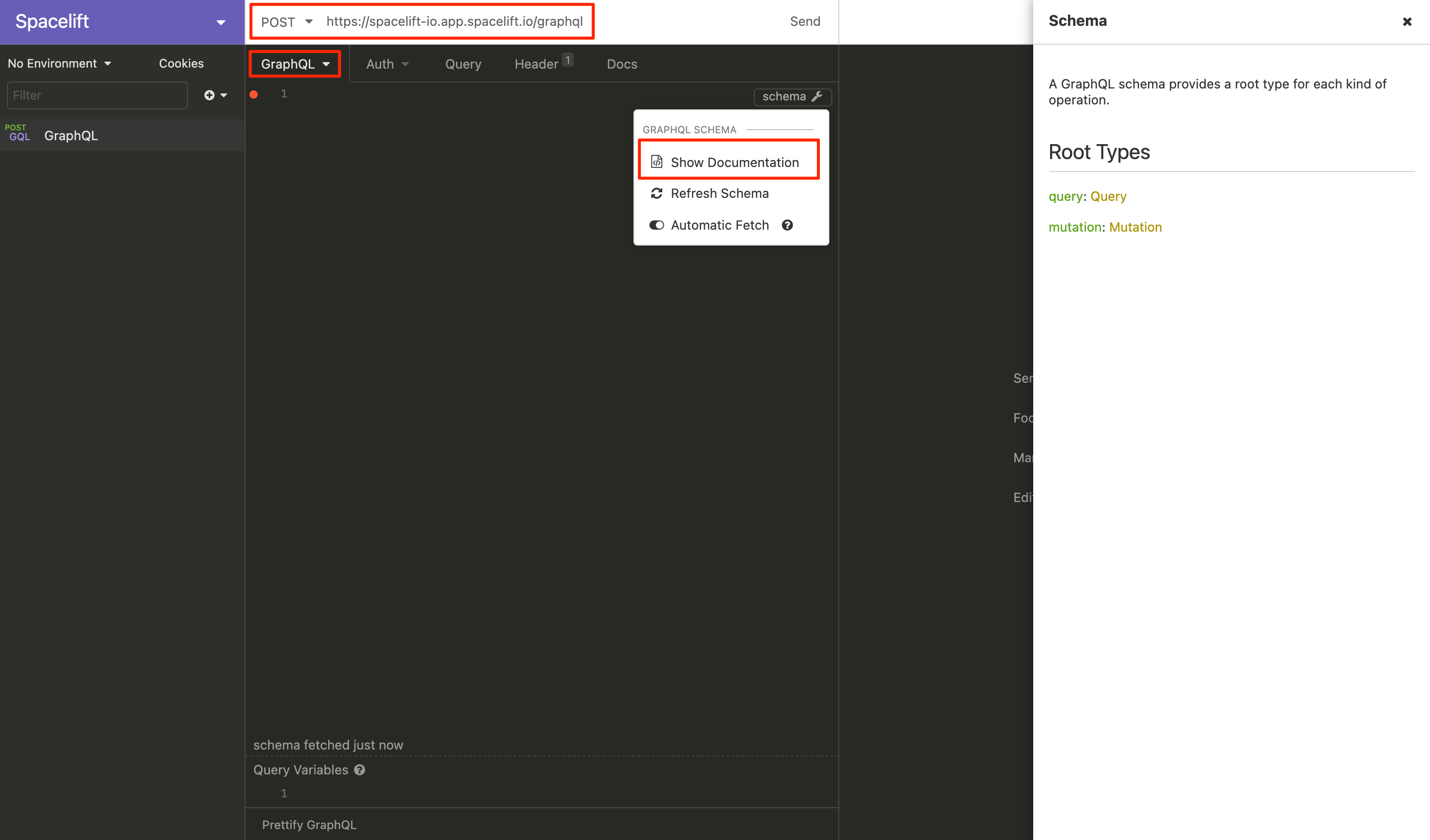 Example viewing GraphQL documentation using Insomnia.